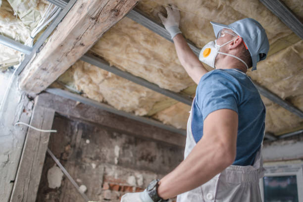 Best Insulation for Specific Applications in Whidbey Island Station, WA
