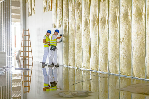 Best Cellulose Insulation in Whidbey Island Station, WA